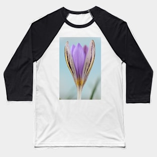 Crocus corsicus  AGM	  Corsican crocus Baseball T-Shirt